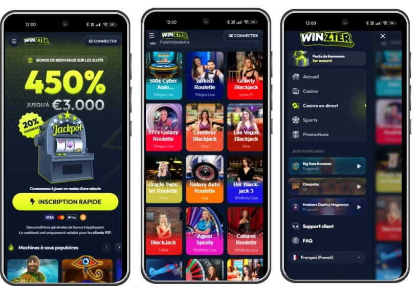 winzter casino version mobile